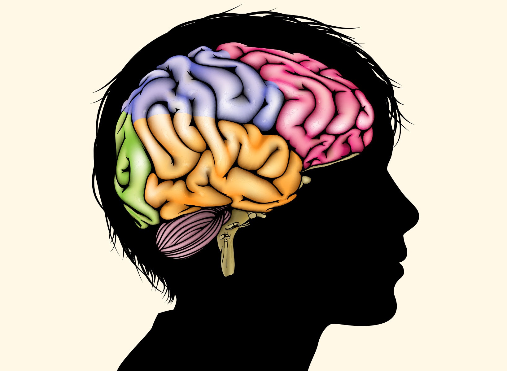 Brain!